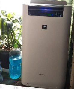 máy lọc không khí nhật bản